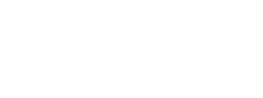 FlameVerse AI Logo